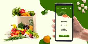 grocery delivery app