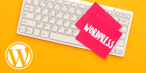 WordPress Development Agency